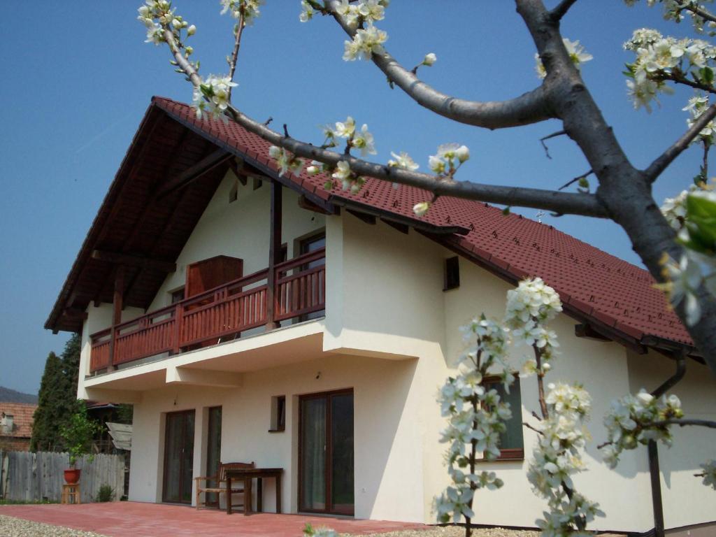 Hotel Casa Rudi&Ella Sălişte Esterno foto