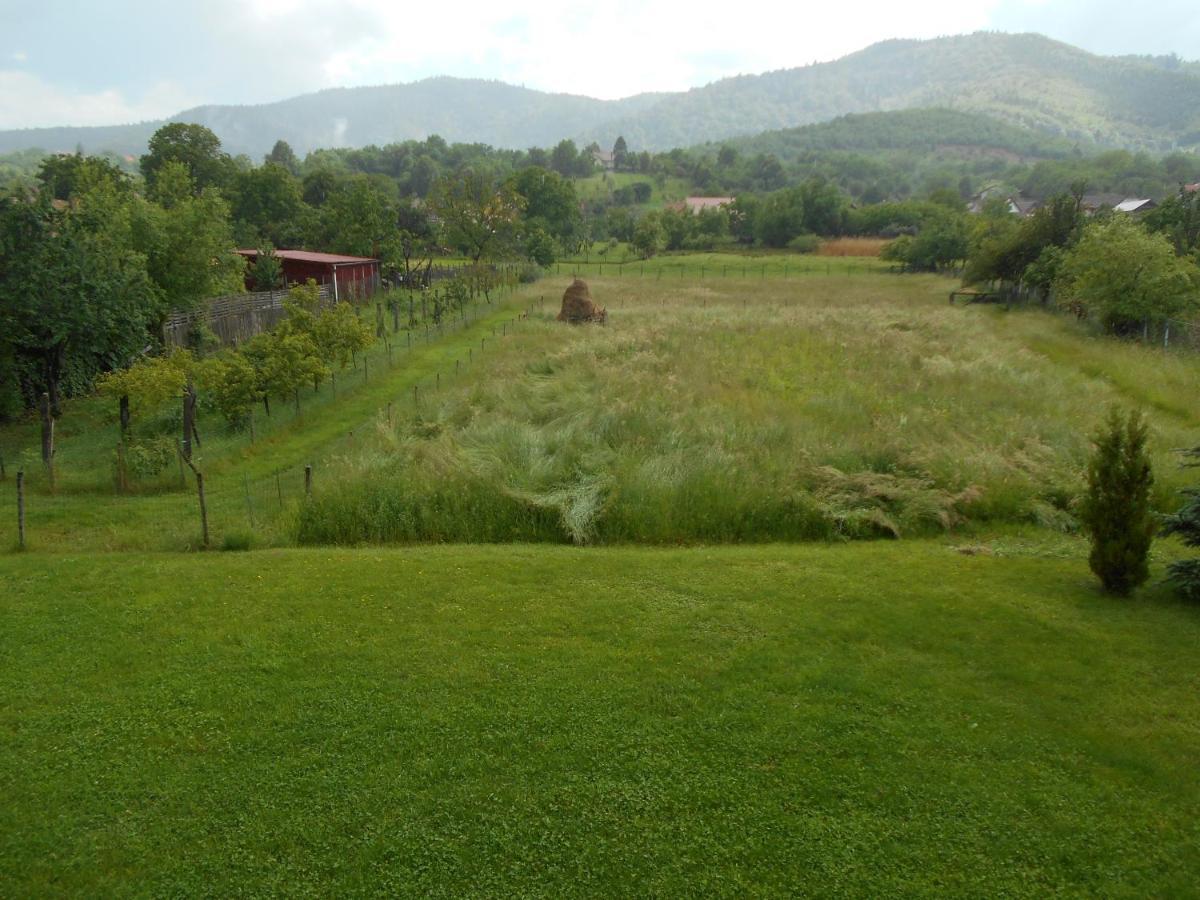 Hotel Casa Rudi&Ella Sălişte Esterno foto